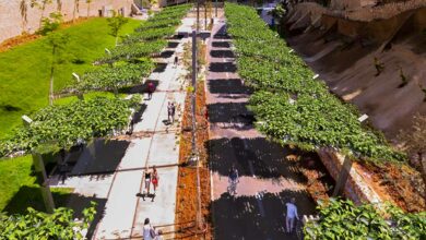 Une invention pour lutter contre les îlots de chaleur urbains à l'aide d'un système hydroponique intelligent et modulaire.