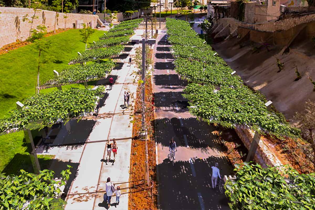 Ils inventent l'éclairage urbain biologique sans électricité