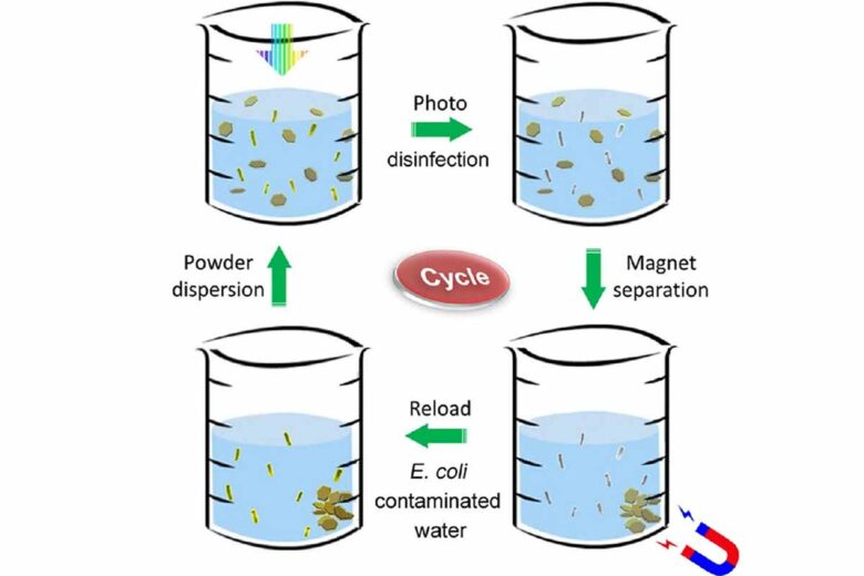 Une poudre désinfectante est mélangée à de l'eau contaminée par des bactéries (en haut à gauche). Le mélange est exposé à la lumière du soleil, qui tue rapidement toutes les bactéries (en haut à droite). Un aimant recueille la poudre métallique après la désinfection (en bas à droite). La poudre est ensuite rechargée dans un autre bécher d'eau contaminée et le processus de désinfection est répété (en bas à gauche). 