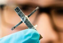 Le transistor en bois tenu par l'un des chercheurs.