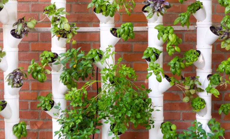 L'hydroponie consiste à cultiver des plantes sans sol grâce à des solutions nutritives.