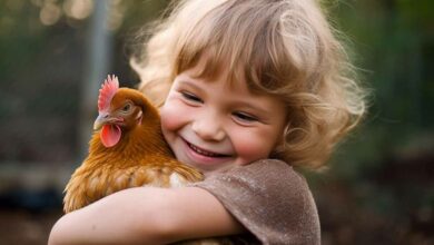 Les poules, un atout indispensable pour le jardin.