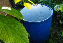 Les aides de l'état pour installer un récupérateur d'eau de pluie.