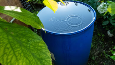 Les aides de l'état pour installer un récupérateur d'eau de pluie.