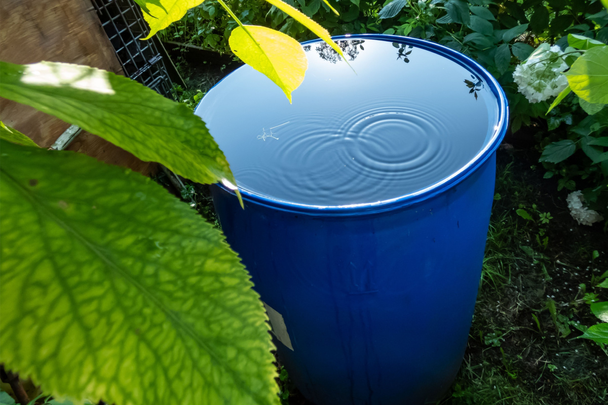 Les aides de l'état pour installer un récupérateur d'eau de pluie.