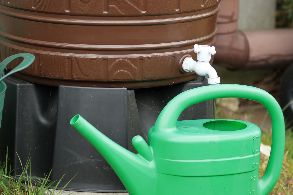 Collecteur eau de pluie descente cylindrique - Jardin et Saisons