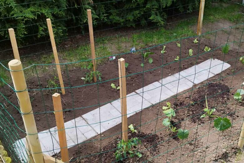 La construction du potager.