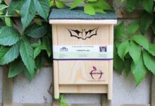 Maison nid pour Chauves-Souris 'Nature