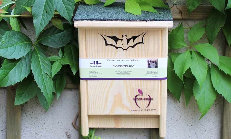 Maison nid pour Chauves-Souris 'Nature