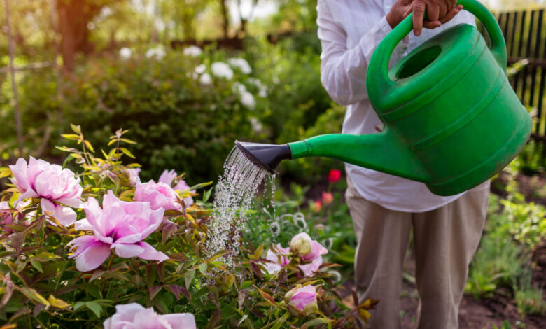Sécheresse. Peut-on utiliser ou non les eaux de pluie sans restriction ?