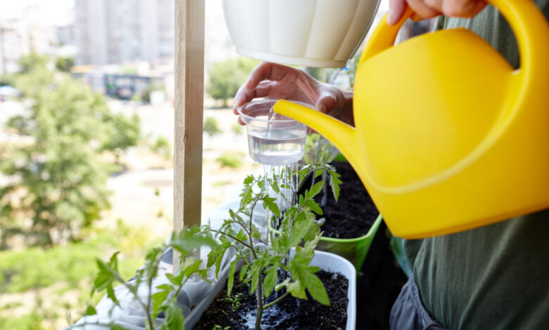 5 inventions et innovations pour faire de grosses économies d'eau au jardin et à la maison.