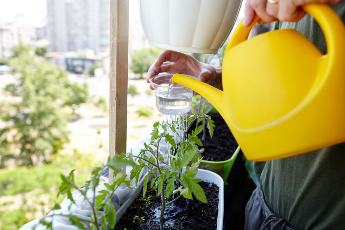 5 inventions et innovations pour faire de grosses économies d'eau au jardin et à la maison.