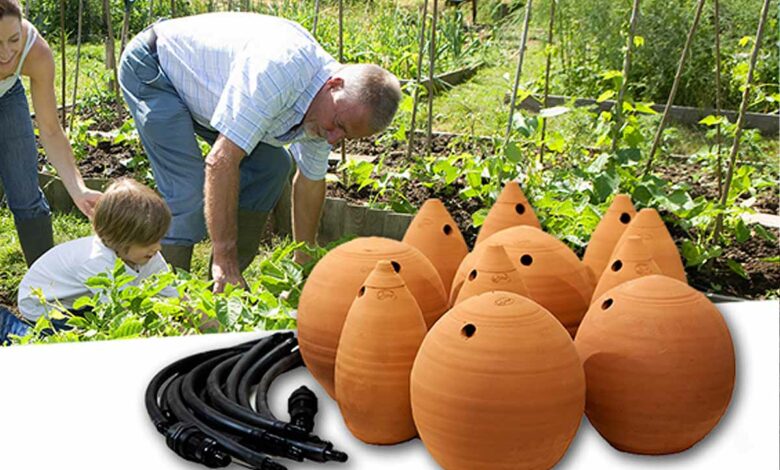 L'invention d'un réseau d'ollas reliées entre elles.