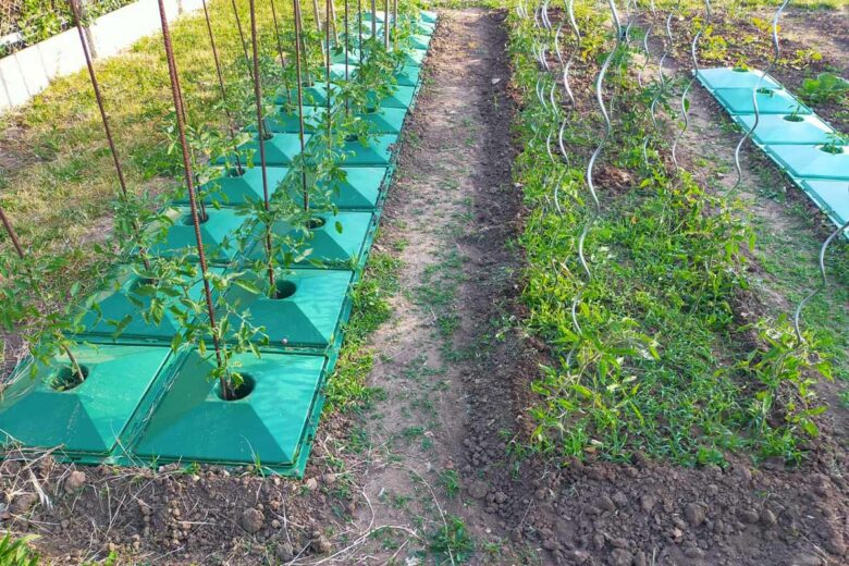 Une invention qui élimine empêche les mauvaises herbes sans utiliser AUCUN produit chimique.