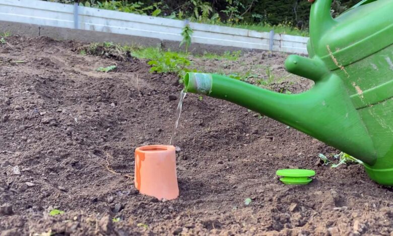Les ollas BioGreen Hydro