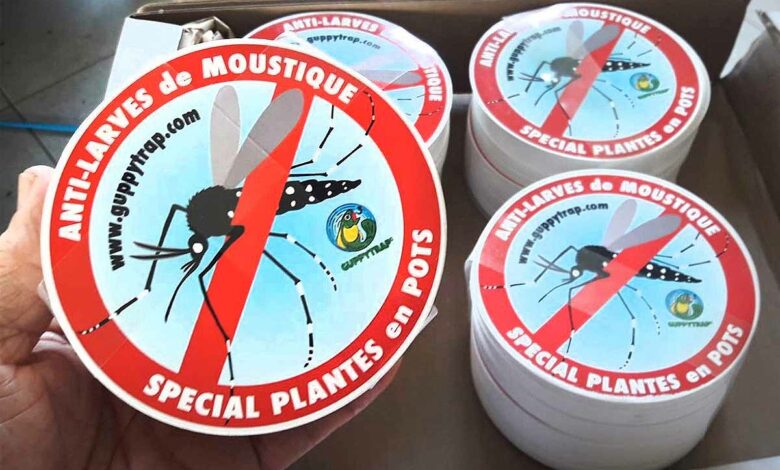 Un piège à moustiques 100 % écoresponsable.