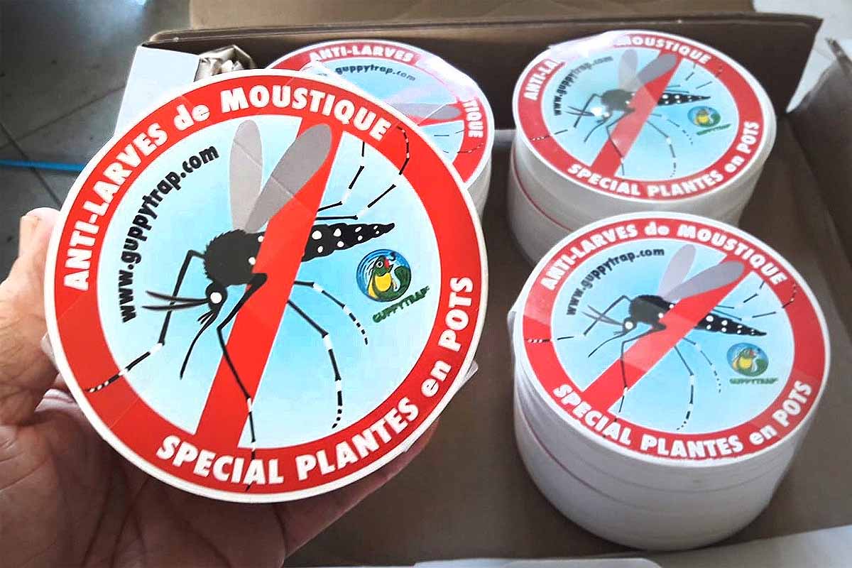 Un piège à moustiques 100 % écoresponsable.