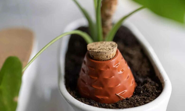 Depuis des temps immémoriaux, voire des millénaires, les ollas ont été inventées pour optimiser l'irrigation en agriculture. Ces jarres enterrées agissent comme des dispositifs permettant de diffuser l'eau directement aux racines des plantes.