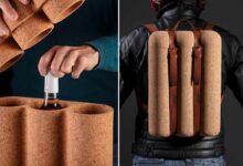 Une invention pratique pour garder vos vins à température idéale : découvrez le sac à dos « CPack Backpack».