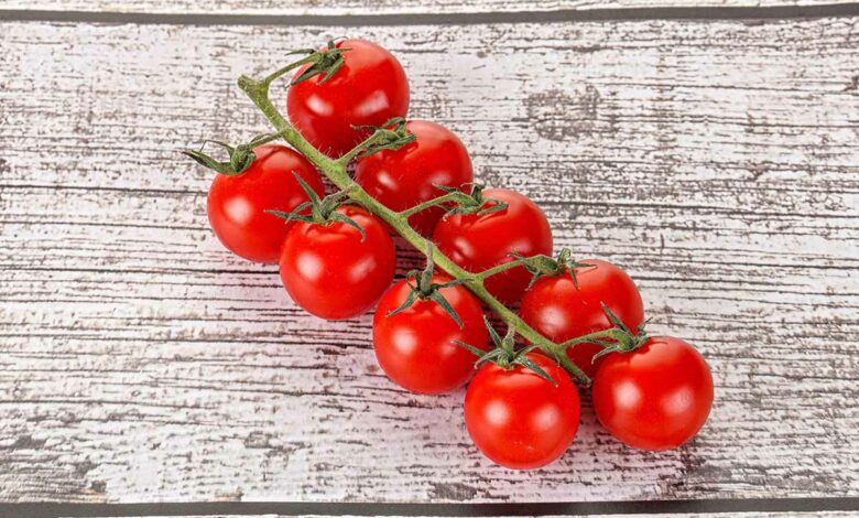 Les tomates cerises sont une variété de tomates cultivées pour leurs fruits de petite taille, souvent consommés comme des légumes. Elles sont généralement considérées comme des hybrides résultant du croisement entre le Solanum pimpinellifolium L. et la tomate cultivée, issue de l'espèce Solanum lycopersicum. Ces petites tomates offrent une saveur délicieuse et sont appréciées pour leur taille pratique et leur polyvalence culinaire.