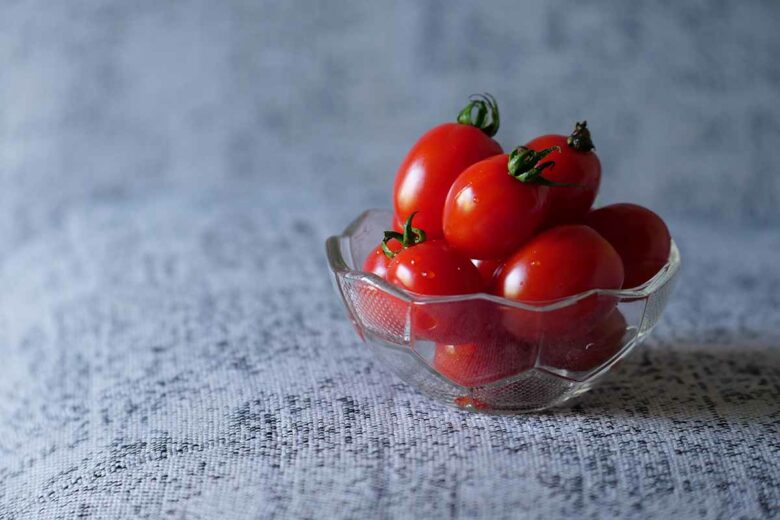 La tomate cerise trouve ses origines dans la variété sauvage de tomate, connue sous le nom scientifique de Solanum lycopersicum var. cerasiforme. Cette petite tomate est originaire de l'ouest de l'Amérique du Sud, plus précisément de régions telles que l'Équateur et le Pérou. Elle représente une forme naturelle et ancienne de la tomate, avant qu'elle ne soit cultivée et développée en différentes variétés par les humains.