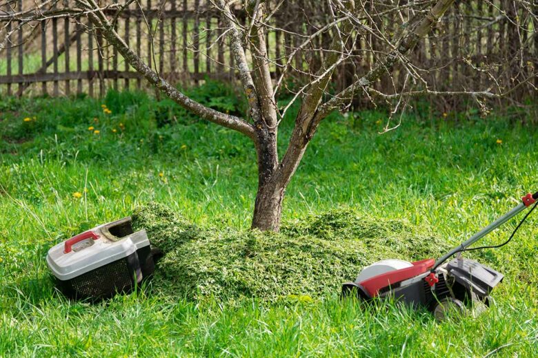 Les ré&sidus de tonte font un parfait paillage au jardin. 