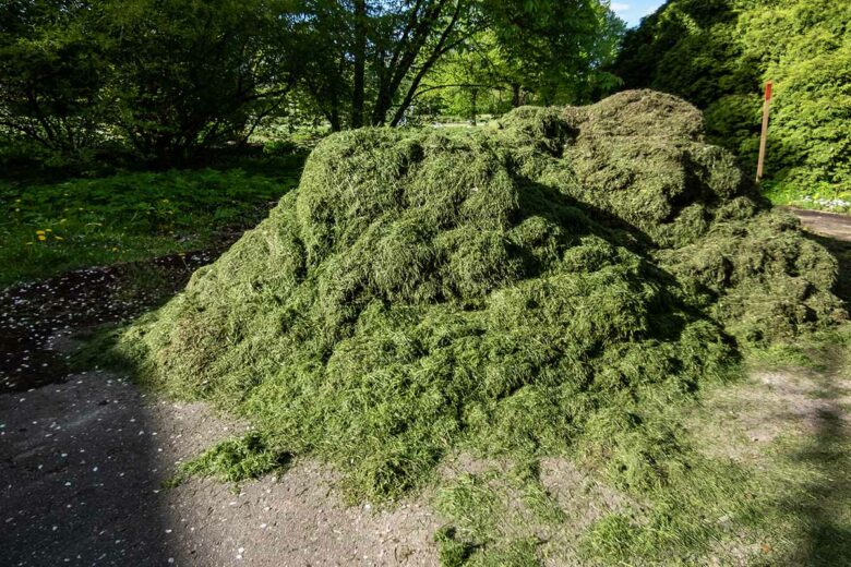 La tonte de gazon présente deux avantages majeurs : elle est particulièrement riche en azote et contribue à réduire l'évaporation de l'eau.