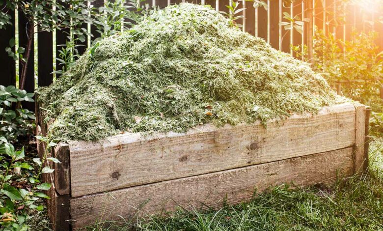 Chanvre, lin, miscanthus, l'importance d'un bon paillage dans le jardin  pour économiser de l'eau - NeozOne