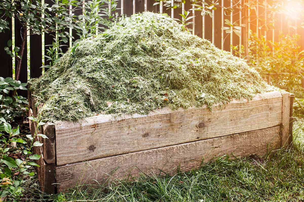 Le paillage permet une économie d'eau de 50 %.