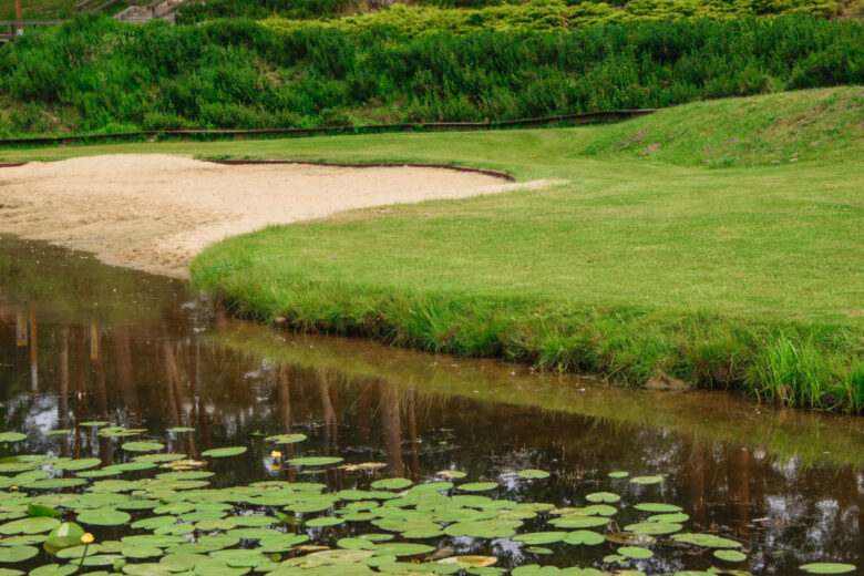 Quels sont les avantages à construire une mare dans votre jardin ?