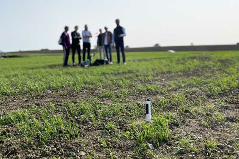 Un capteur très innovant pour réduire la consommation d'eau dans l'agriculture.