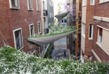 Un canopée végétale pour refroidir les rues des villes.