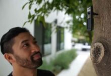 Une technologie qui donne une voix à votre arbre.