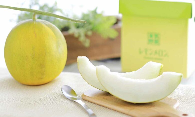 Des agriculteurs d’Hokkaido ont inventé un fruit hybride, le melon citron