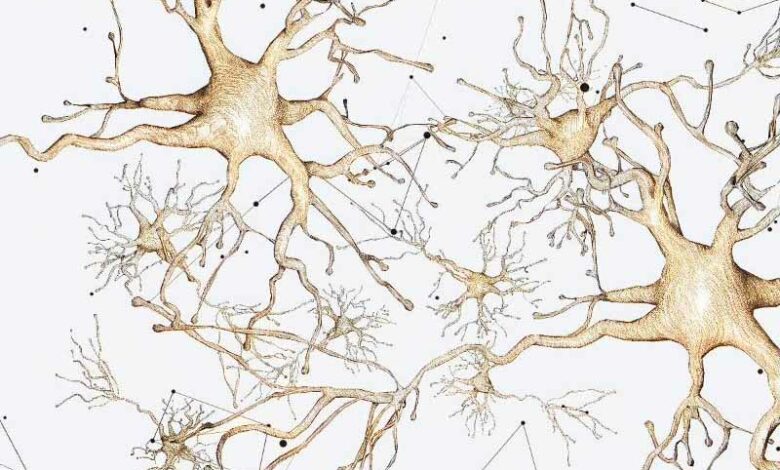 Des cellules cérébrales fusionnant avec une IA.