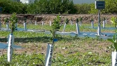 L'invention d'un système d'irrigation durable pour réduire la consommation d'eau, d'énergie et d'engrais jusqu'à 50 %.