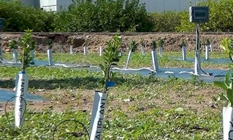 L'invention d'un système d'irrigation durable pour réduire la consommation d'eau, d'énergie et d'engrais jusqu'à 50 %.