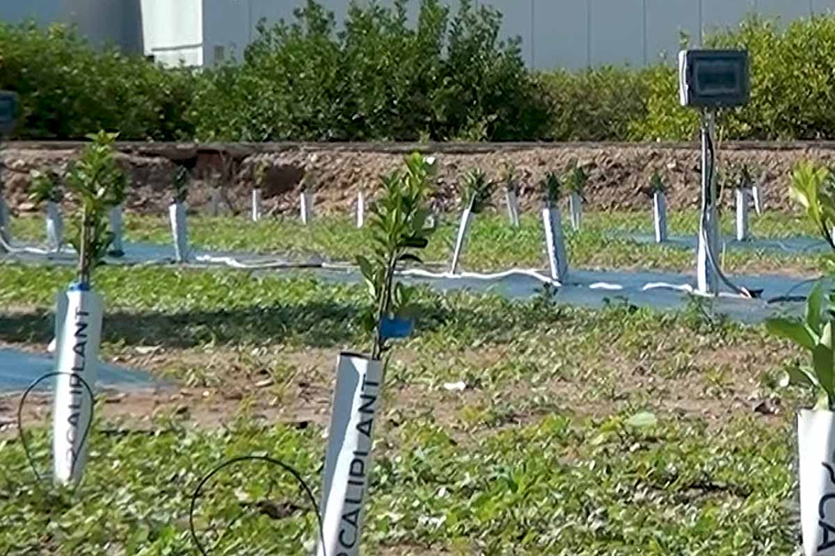 L'invention d'un système d'irrigation durable pour réduire la consommation d'eau, d'énergie et d'engrais jusqu'à 50 %.