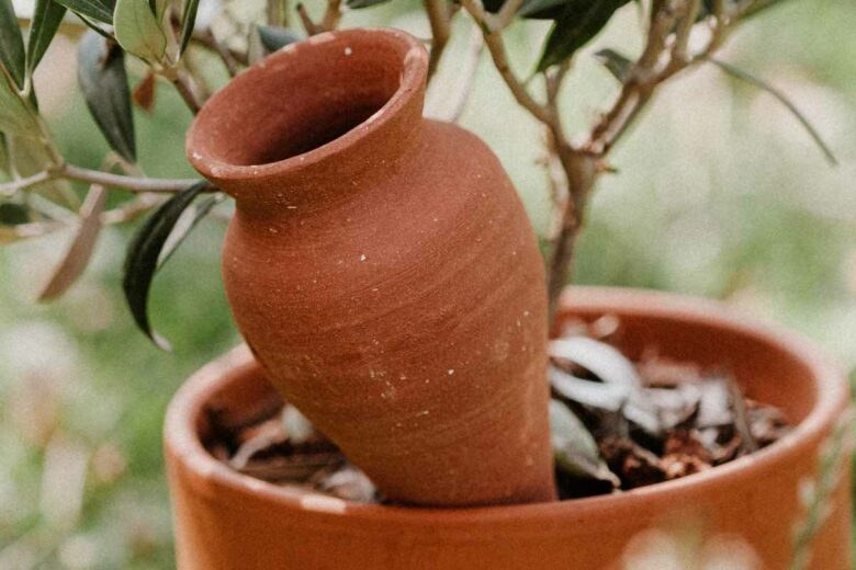 Ollas Cône à planter