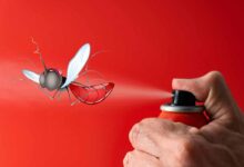 L'invention d'un spray qui empêche les moustiques de voler.
