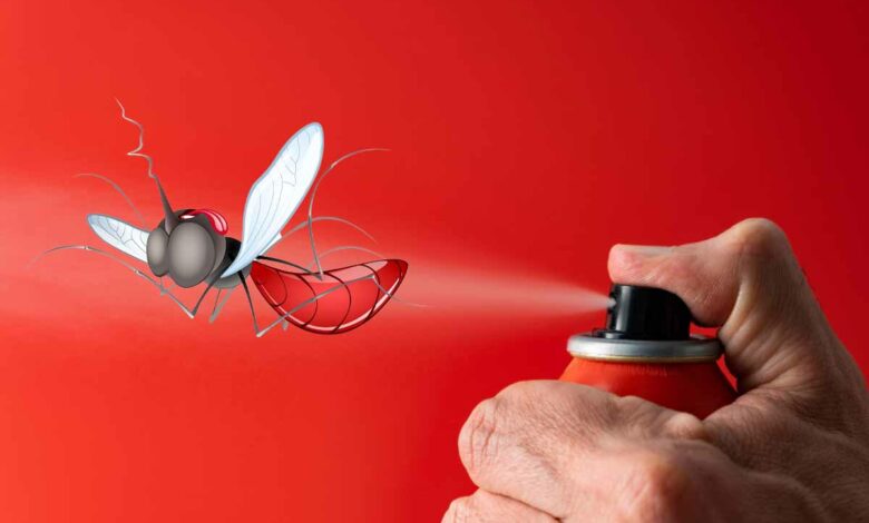 Adieu les moustiques ! Grâce à cette lampe anti-moustique révolutionna –  promodepot-boutique