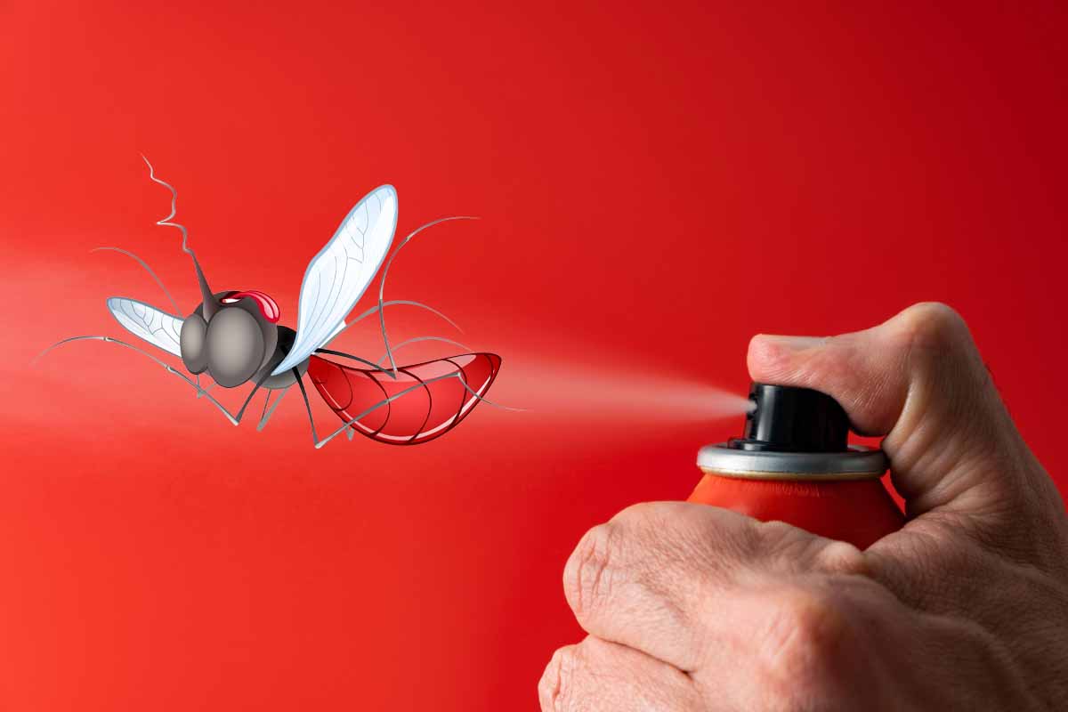 L'invention d'un spray qui empêche les moustiques de voler.