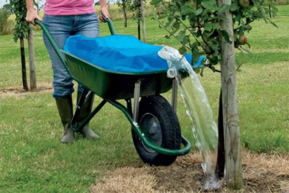 Faltazi réinvente le récupérateur d'eau de pluie avec un « toit