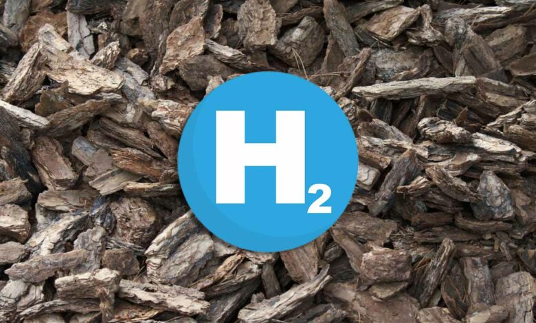 Une fois achevée, l'installation produira environ 21 000 tonnes métriques par an d'hydrogène à carbone négatif destiné à la production d'énergie thermique et au transport.