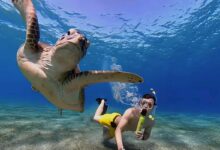 Une invention qui permet à quiconque de respirer librement sous l'eau jusqu'à dix minutes.