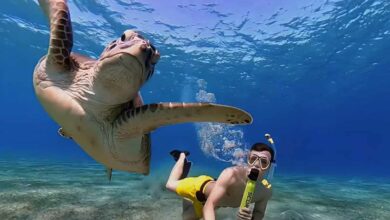 Une invention qui permet à quiconque de respirer librement sous l'eau jusqu'à dix minutes.