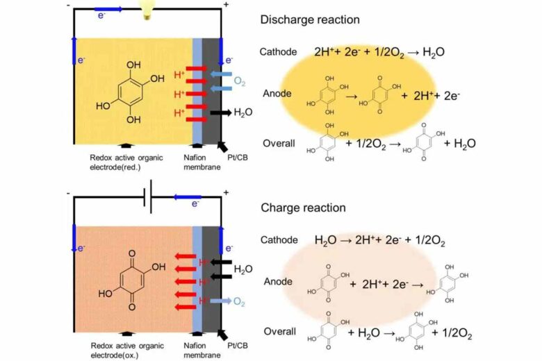 Les chercheurs ont développé une batterie à air rechargeable entièrement à l'état solide avec une électrode négative organique à base de dihydroxy-benzoquinone et un électrolyte polymère Nafion.