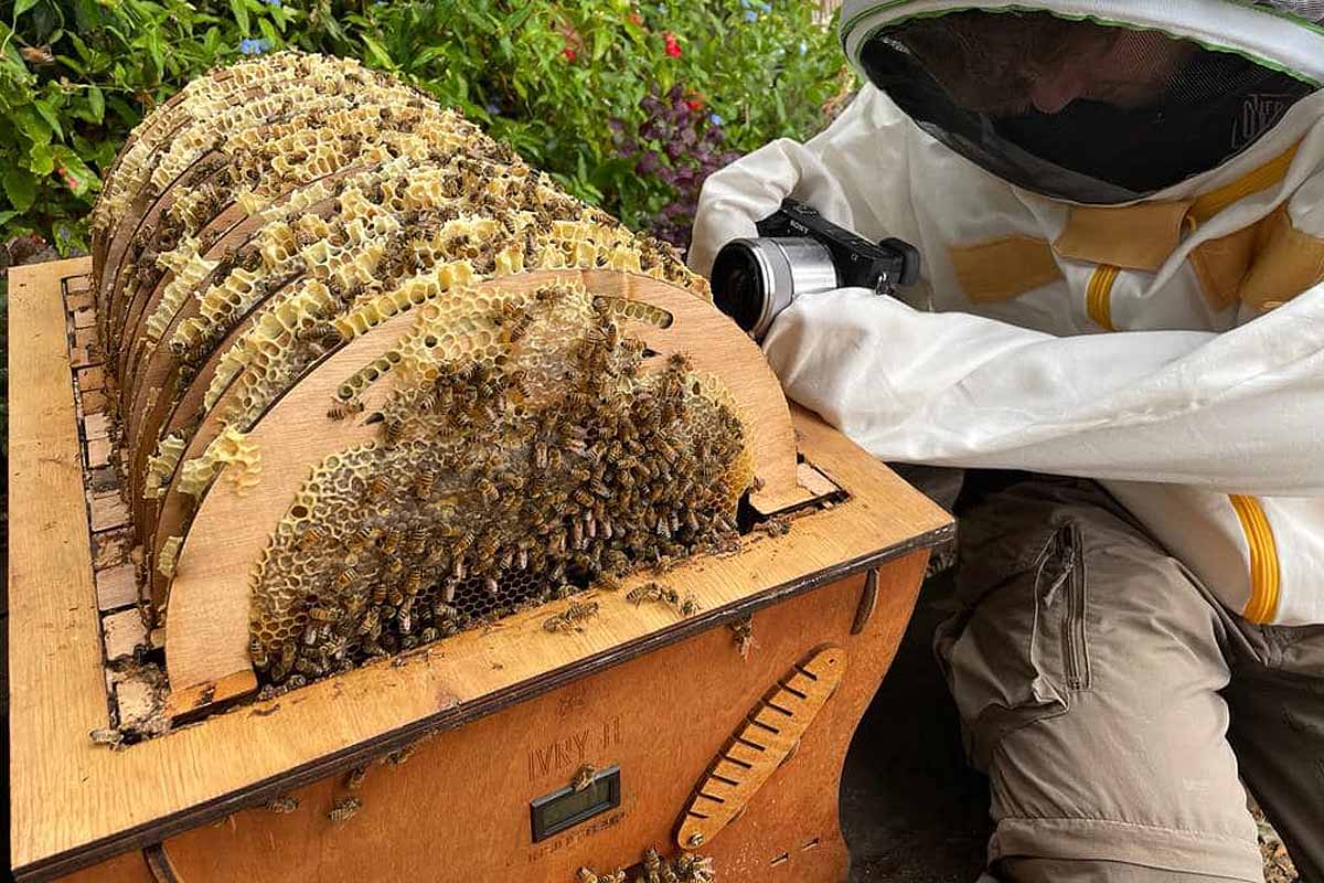 La première ruche transparente et « une fenêtre sur le monde des abeilles  », l'étonnante invention d'Ivry-B - NeozOne
