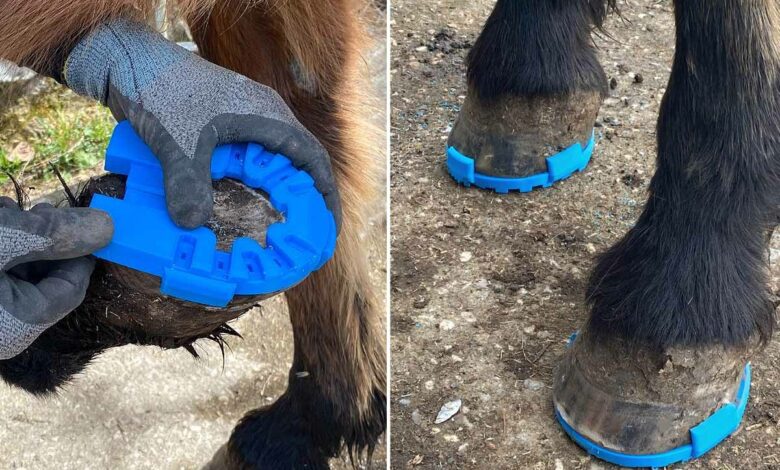 L'invention d'une semelle respectueuse du cheval et ultra performante !