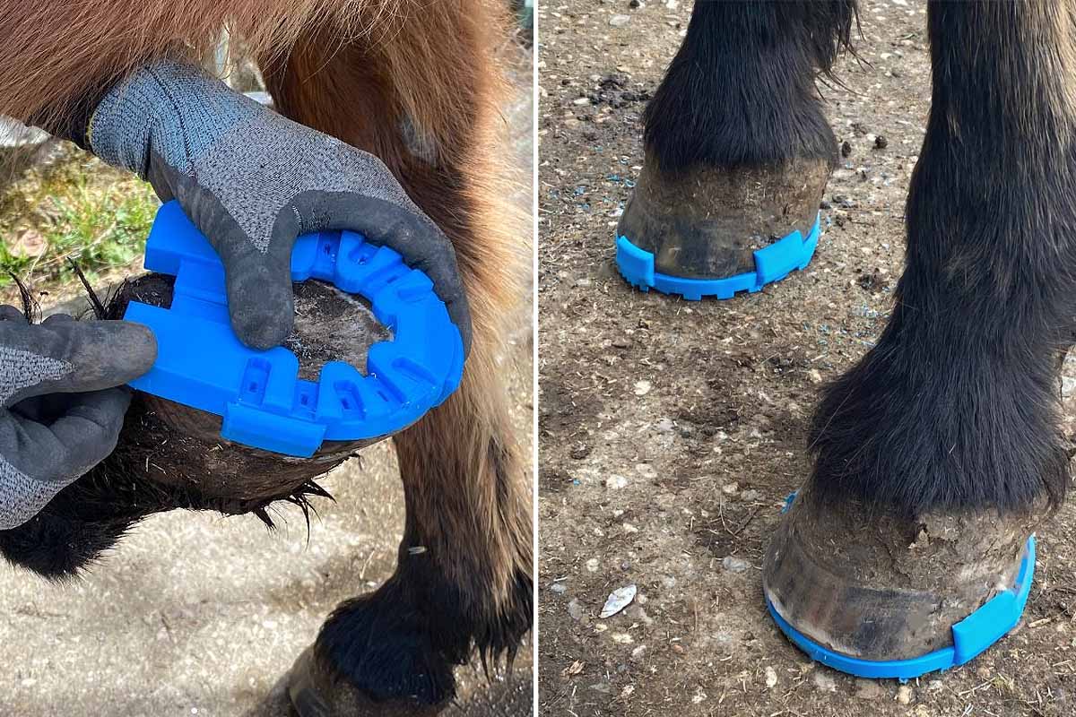 L'invention d'une semelle respectueuse du cheval et ultra performante !